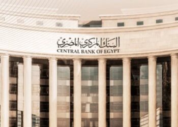 Egypt’s Central Bank Approves First Digital-Only Bank to Boost Financial Inclusion