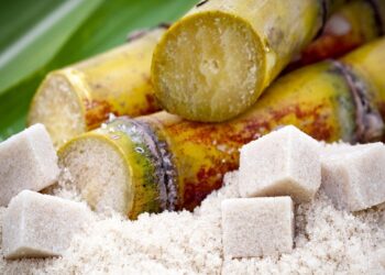 Zimbabwe Unveils 10-Year Plan to Double Sugar Production to 800,000 Tons by 2035