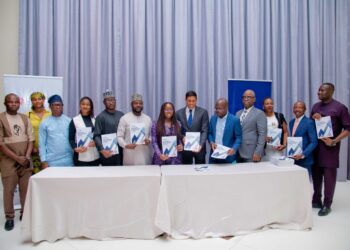 Nigeria Secures $116 Million from UNIDACO to Boost Renewable Energy Transition