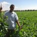 Morocco Launches Major Reform of 1969 Agricultural Investment Code