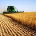 Morocco Sees Best Cereal Harvest in Five Years for 2025/2026 Season