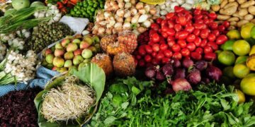 Africa’s Agrifood Future Will Be Shaped by Youth: Lessons from the Central African Republic