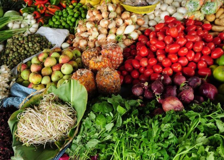 Africa’s Agrifood Future Will Be Shaped by Youth: Lessons from the Central African Republic