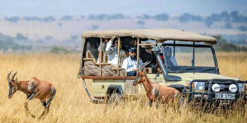 Kenya Tourism Revenue Hits Record in 2025 as Visitor Numbers Surge