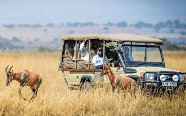 Kenya Tourism Revenue Hits Record in 2025 as Visitor Numbers Surge